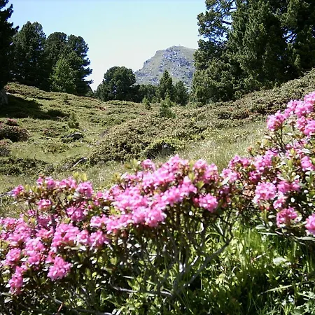 Felber Huettn