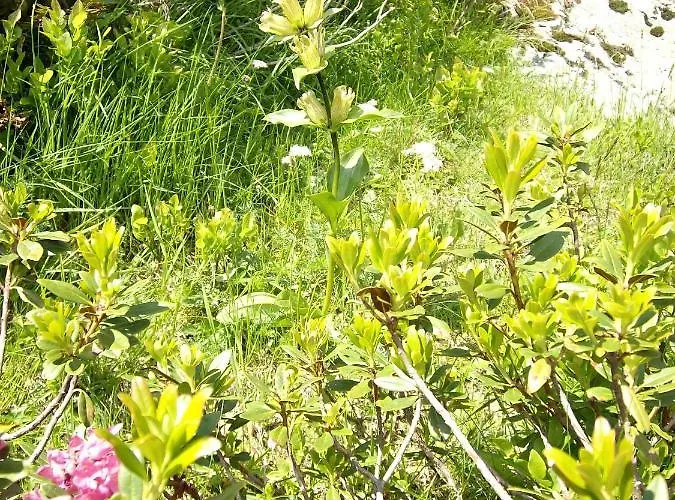 Apartamento Felber Hüttn