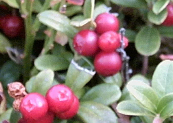 Apartamento Felber Hüttn Patergassen